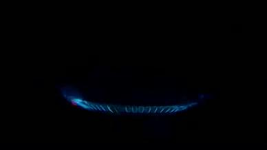 升格点燃炉火火焰炉灶煤气火煤炉火焰视频的预览图